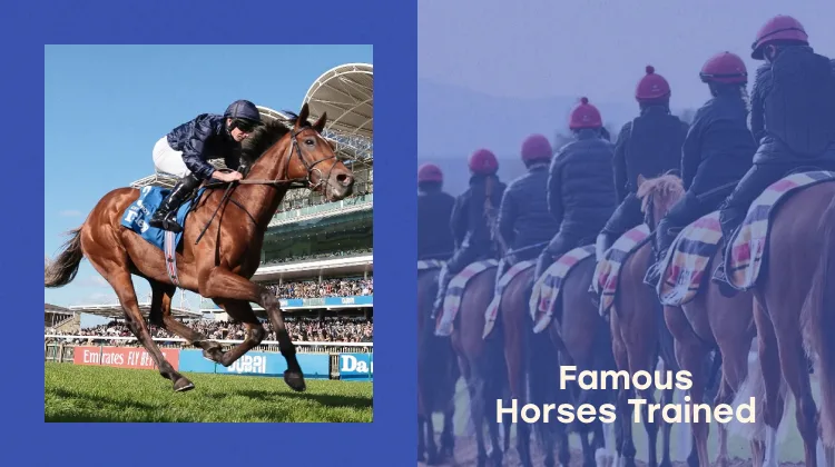 Famous Horses Trained by Aidan O’Brien