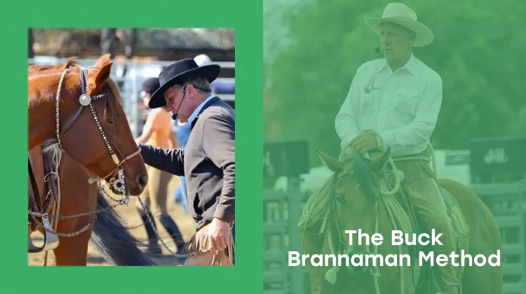 The Buck Brannaman Method