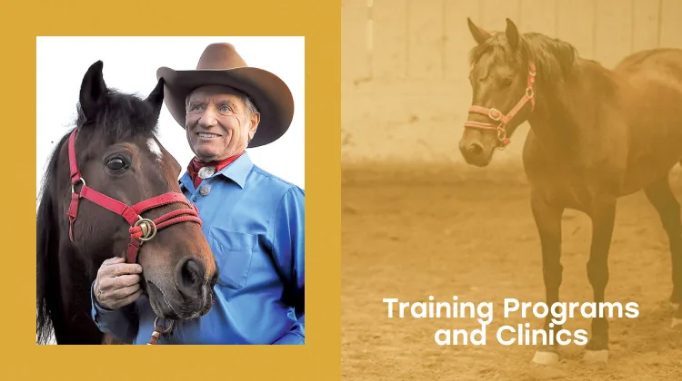 Monty Roberts Training Programs and Clinics